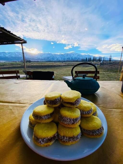Villa La Carrera Villas, Atamisque. Tupungato, Mendoza. *